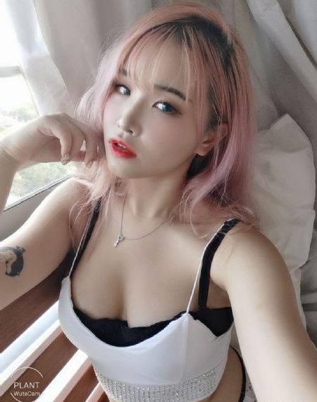 花与蛇零