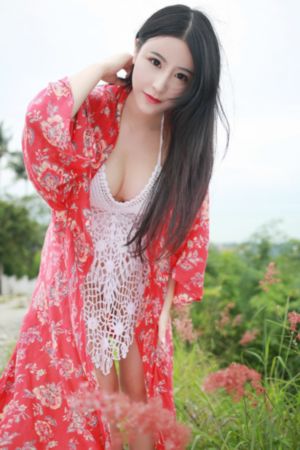 华丽的外出 在线