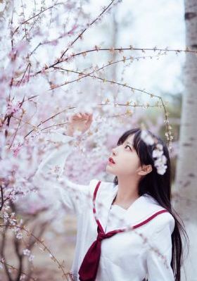 西北岁月电视剧免费观看完整版